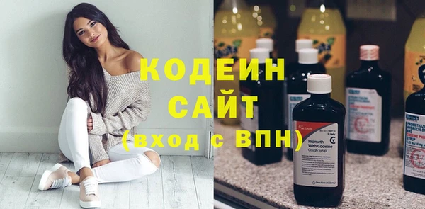 гидра Михайловка